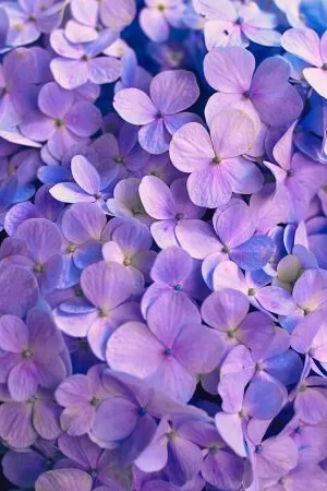 Trích dẫn kỷ luật 27