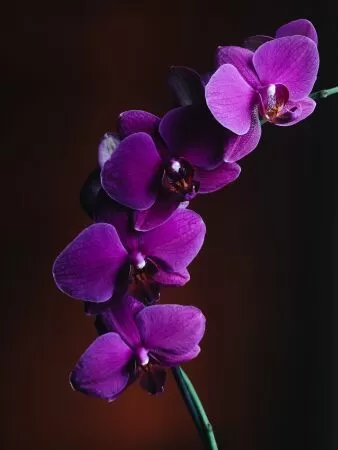 Trích dẫn tạo động lực 8