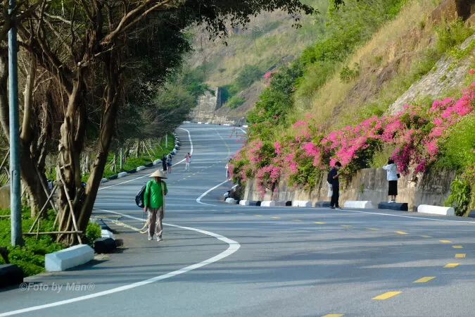 Bán đảo Sơn Trà