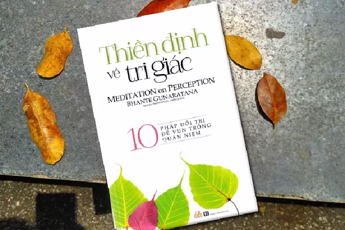 Thiền Định Về Tri Giác