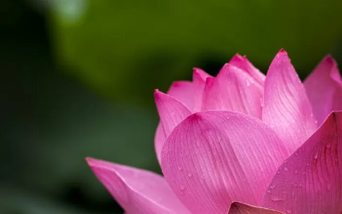 Buổi sáng hôm nay - Huy Cận