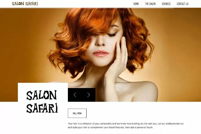 Salon Safari