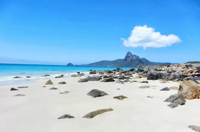 Nha Trang - Sóng Hồng
