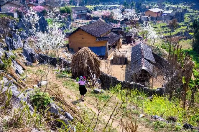 Nhà Cổ Lao Xa Homestay