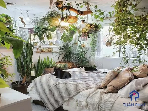 THIẾT KẾ BIOPHILIC