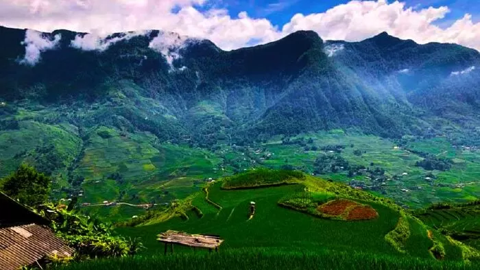 Tây Tiến - Quang Dũng