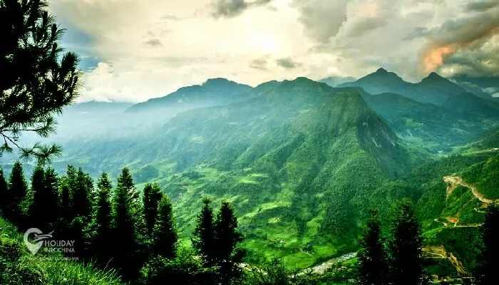 Cảnh rừng Việt Bắc - Hồ Chí Minh