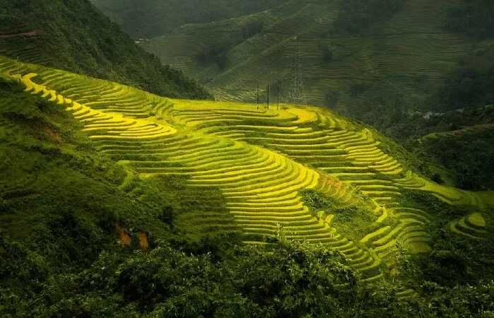 Việt Bắc - Tố Hữu