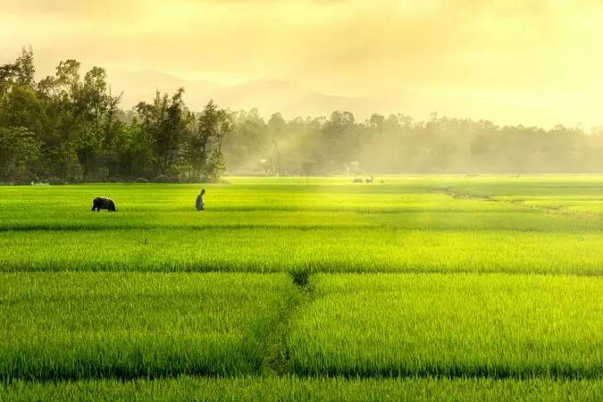 Thăm em - Minh Tuấn