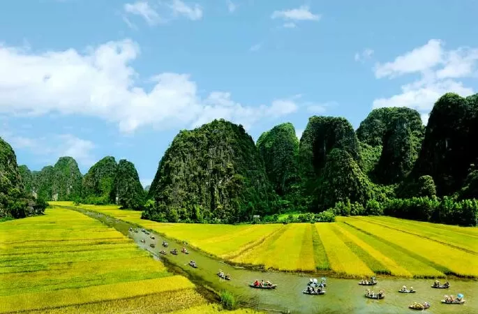 Cánh đồng tuổi thơ - Nguyễn Đình Huân