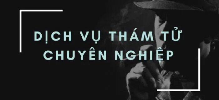 Công Ty Thám Tử Liên Việt
