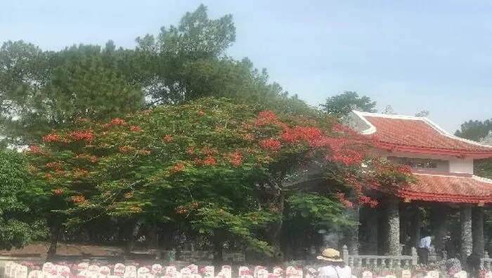 Mùa hoa đỏ - Ngọc Thạch