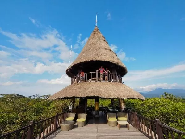 The Menjangan