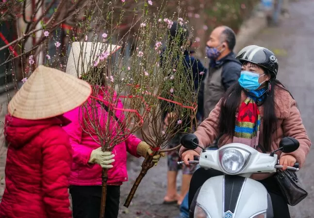 Lời chúc Tết Nguyên Đán Quý Mão 9