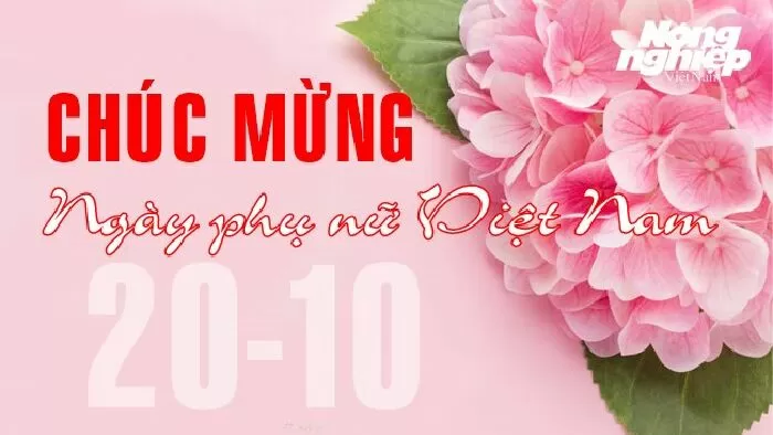 Lời chúc hay và ý nghĩa dành cho mẹ 8
