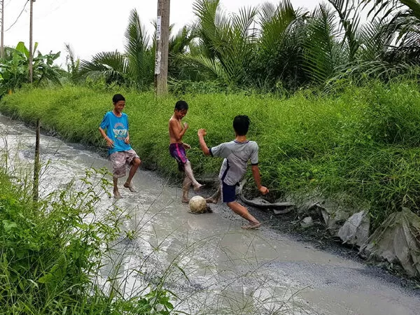 Tuổi thơ - Bách Tùng Vũ