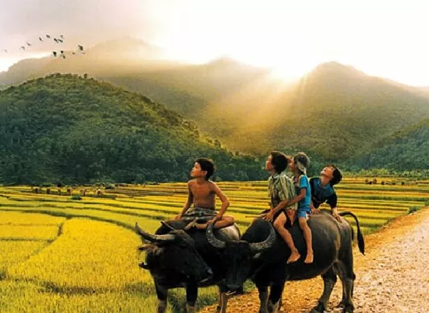 Về lại ngày xưa - Trúc Lâm