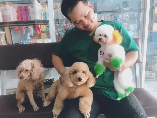 Lucky Pet