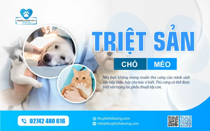 Phòng Khám Thú Y Hương Nở