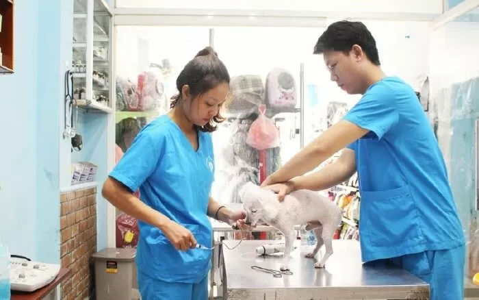 Phòng khám thú y Trâm Anh