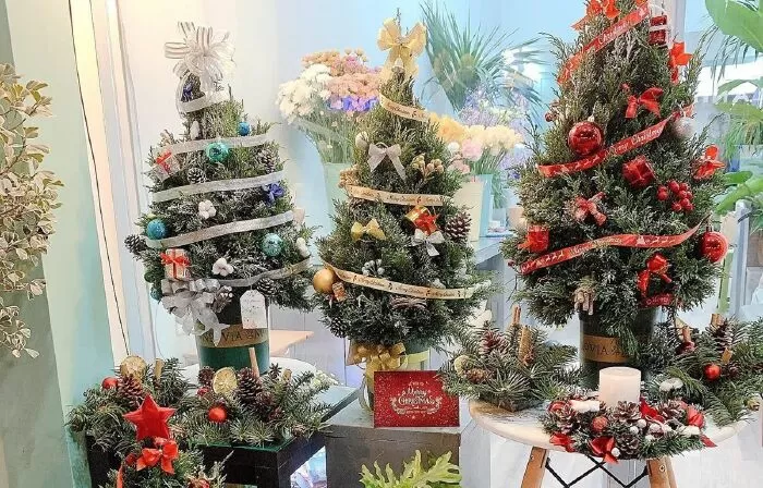 Thế Giới Cây Và Hoa