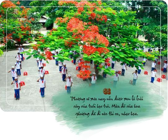 Nhớ mùa Phượng Vĩ - Phan Hạnh