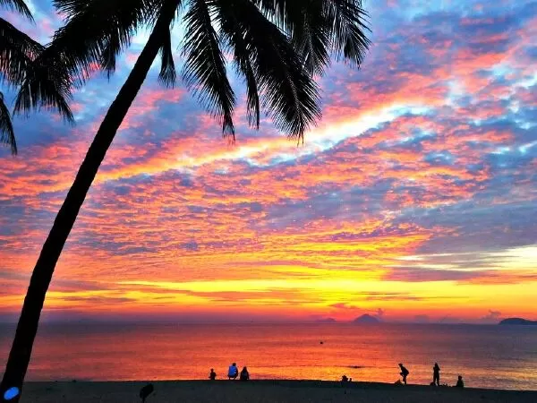 Xuân Bình Minh – Trần Viết Đính