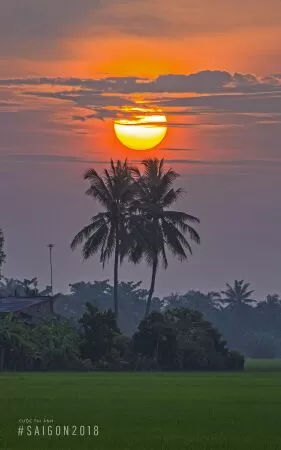 Chào Bình Minh Ban Sớm – Phạm Hương