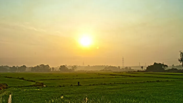 Bình minh trên biển - Cư Nguyễn