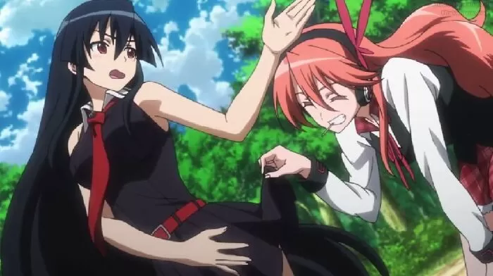 Akame ga Kill (Akame ga Kill)