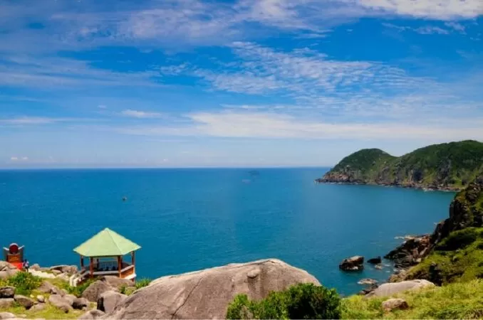 Hoạ Phú Yên - Thủy Tiên