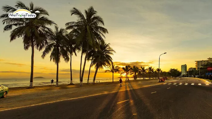 Chiều Nha Trang - Đặng Minh Mai