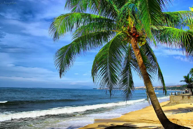 Biển Nha Trang - Nguyễn Nhơn