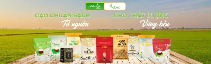 Gạo Hoa Lúa