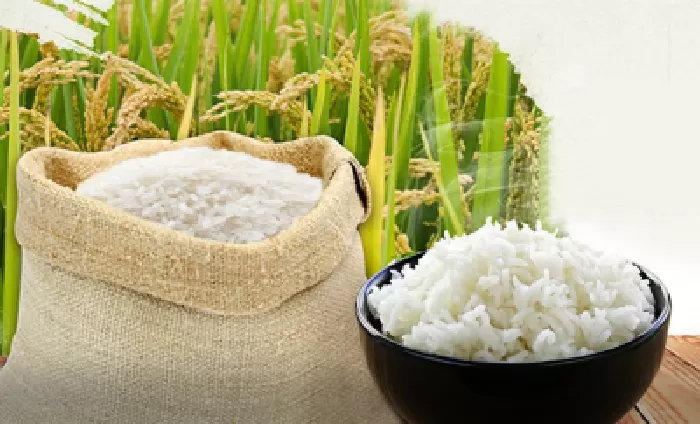Gạo Trường Hương Điện Biên
