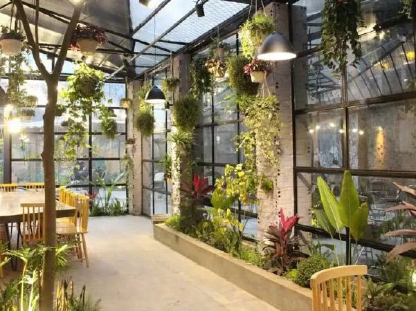 The Firefly - Gardenista
