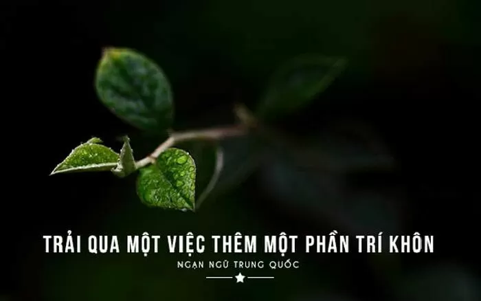Ngạn ngữ Trung Quốc - Trải qua một việc thêm một phần trí khôn.