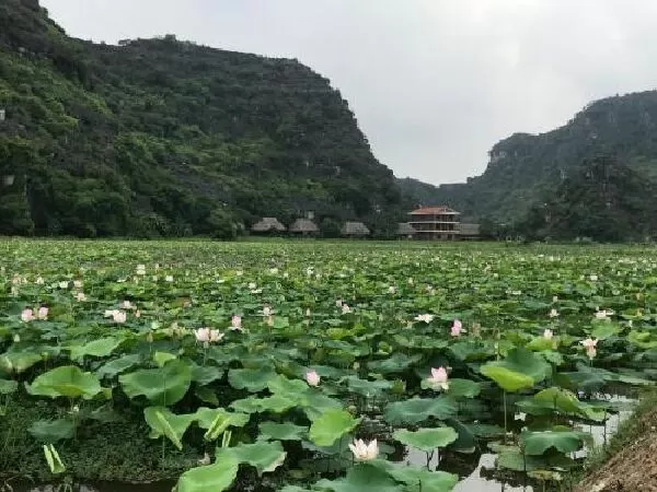 Ninh Bình Panorama Homestay