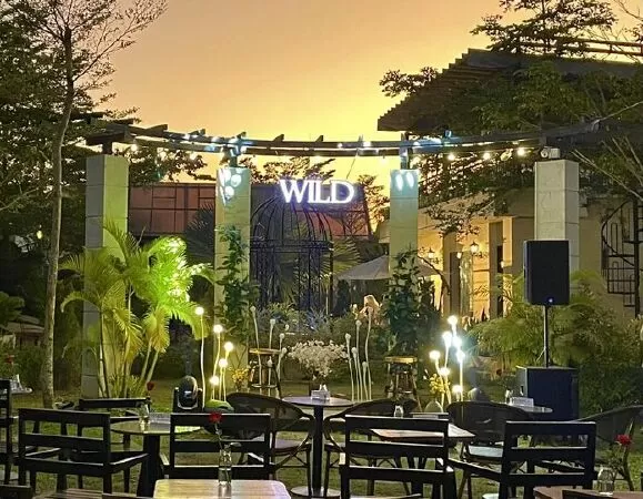 WILD GARDEN