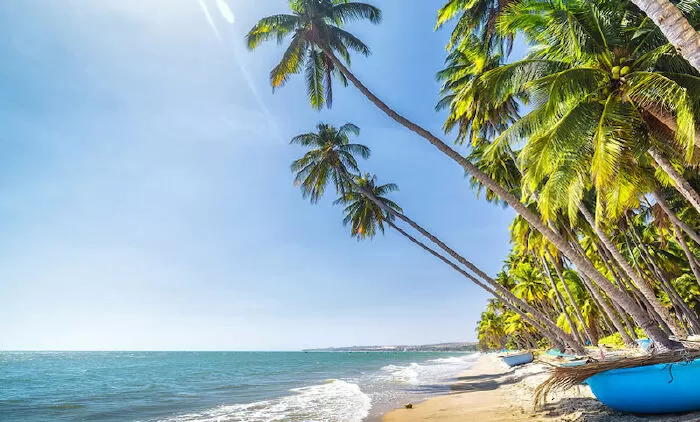 Phan Thiết tôi về… - Từ Nguyễn