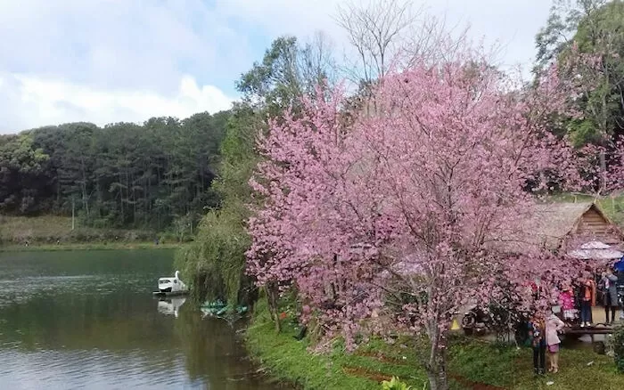 Mùa xuân phố núi - Nguyễn Đình Toán