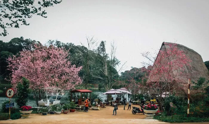 Xuân về - Nguyễn Đình Toán