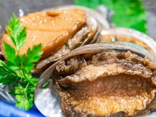 Hải Sản Tươi Sống Phong Phú