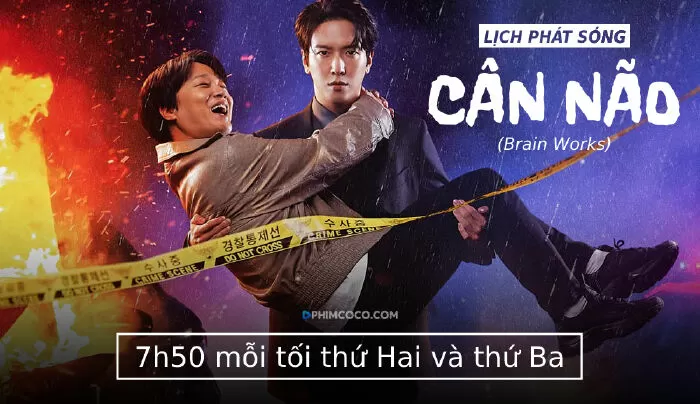 Cân Não (Brain Works)