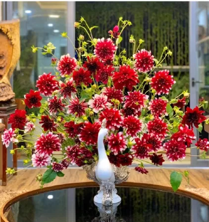 Hoa thược dược