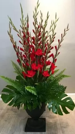 Hoa lay ơn
