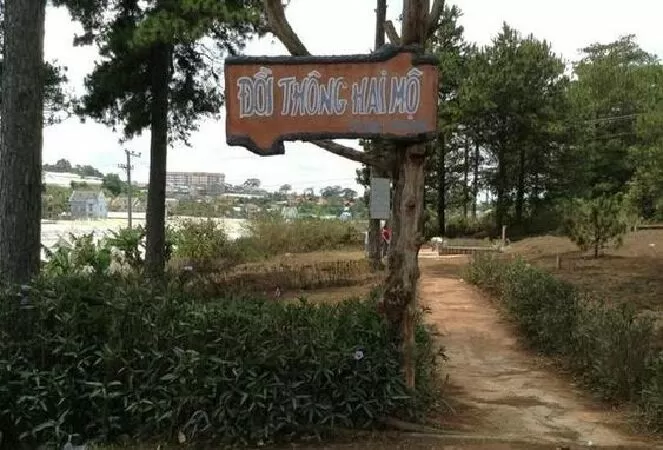 Top 5 bài hát hay nhất về thành phố Đà Lạt xinh đẹp mộng mơ