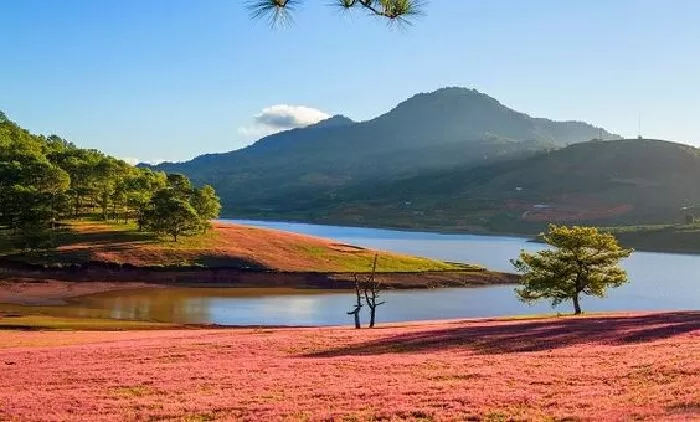 Đà Lạt hoàng hôn