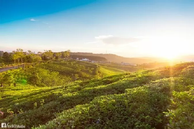 Lên đà lạt cùng em