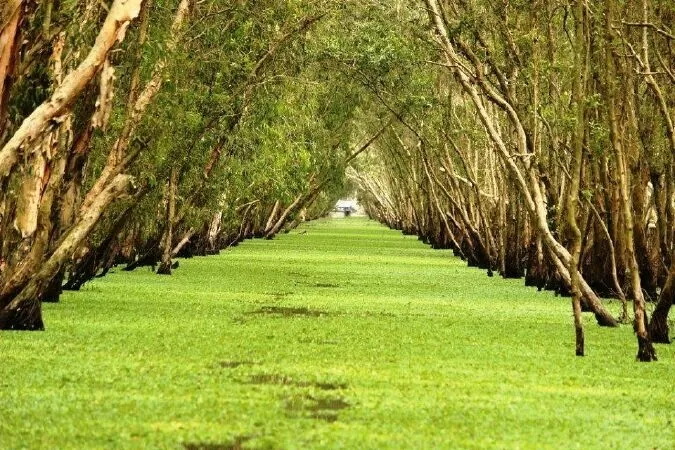 An Giang - Bùi Thị Ngọc Điệp